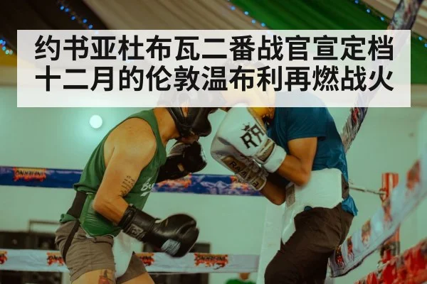 约书亚杜布瓦二番战官宣定档 十二月的伦敦温布利再燃战火