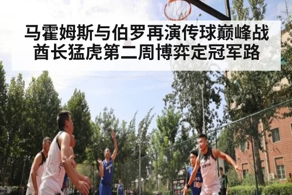 马霍姆斯与伯罗再演传球巅峰战 酋长猛虎第二周博弈定冠军路